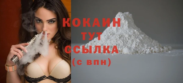 гидра Абаза