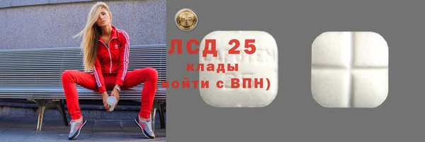 гидра Абаза