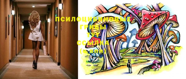 дурь Алексеевка