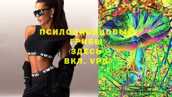 МДПВ Алзамай