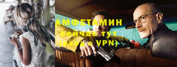 гидра Абаза