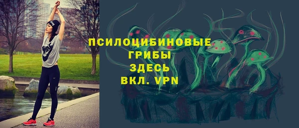 гидра Абаза